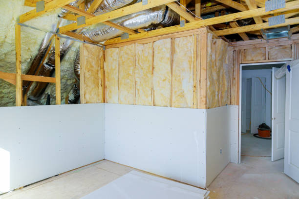 Best Attic Insulation Installation  in Freer, TX