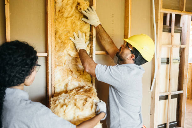 Insulation for New Construction in Freer, TX