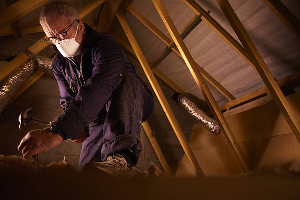 Best Insulation Removal  in Freer, TX
