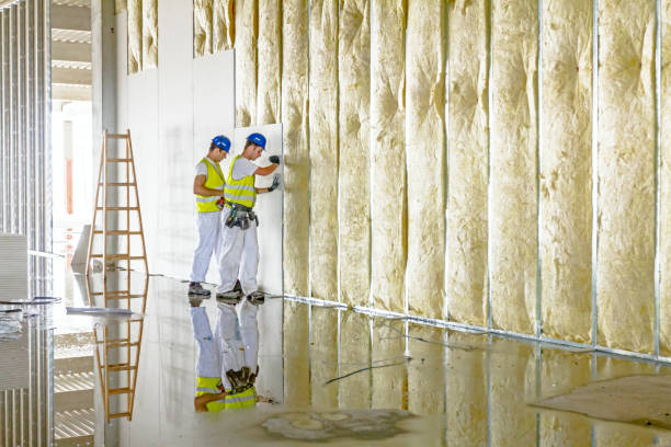 Best Spray Foam Insulation  in Freer, TX